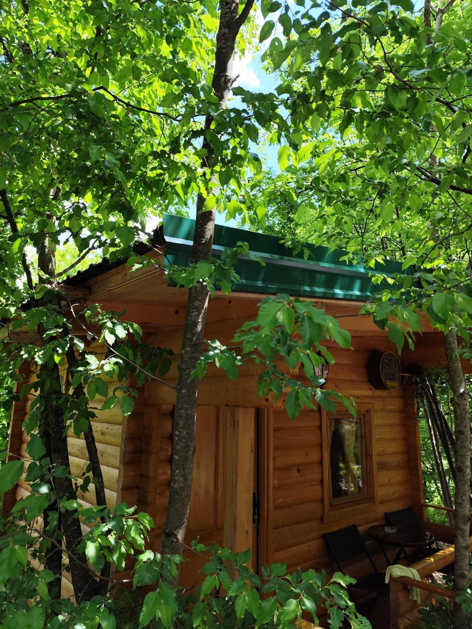 Still Cabin Cetinje Exteriér fotografie
